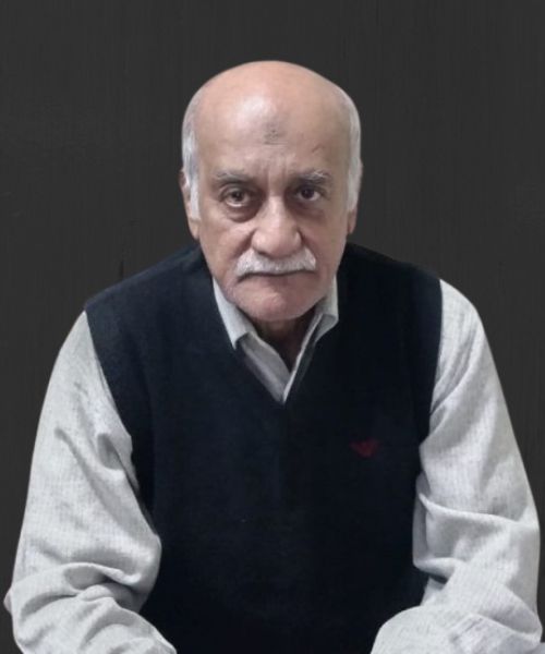 Untitled design (29)